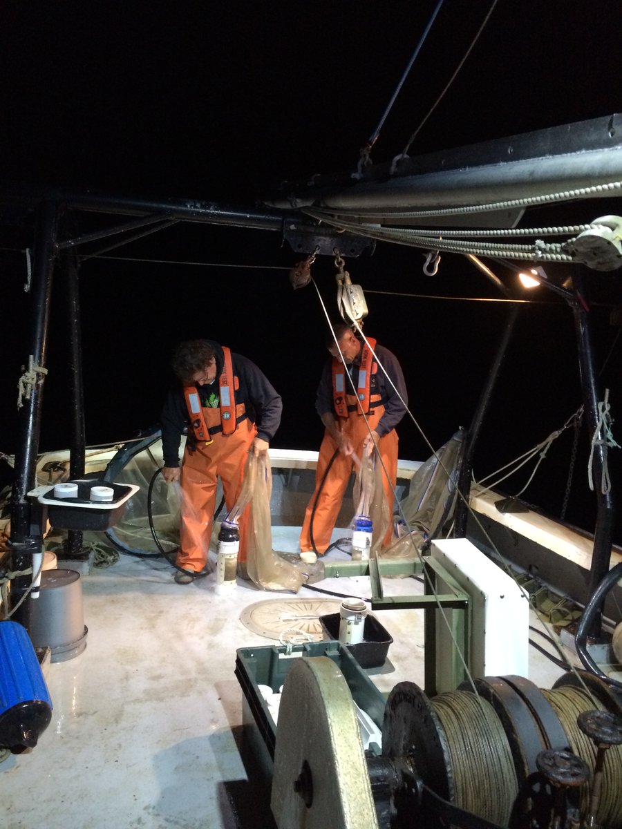 normandeauassoc's tweet image. Publication announcement! Both retired and current Normandeau scientists collaborated in a recently published study. To read the article in its entirety, visit: spo.nmfs.noaa.gov/content/struct…  
#Normandeau #environmentalscientists #environmentalexperts #publications #scholarlyarticle