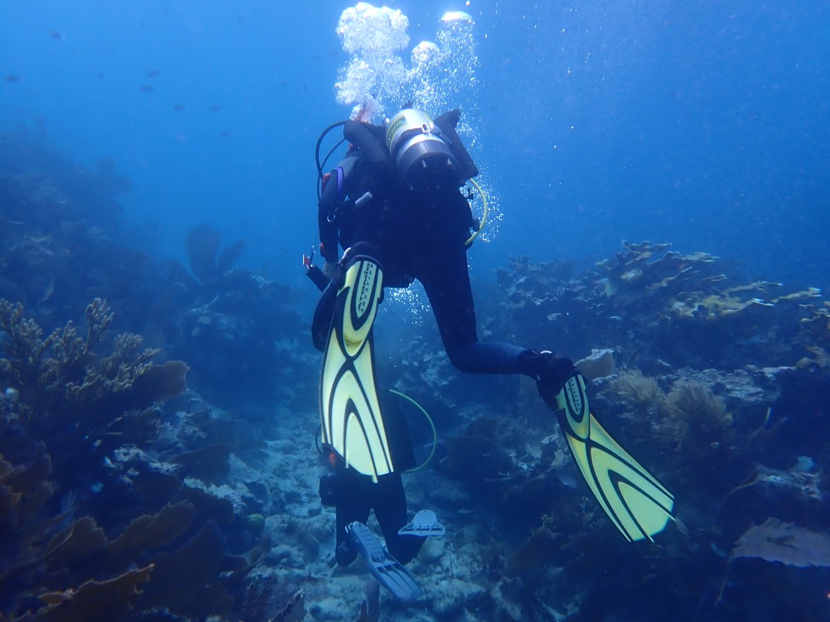UncleCalDives's tweet photo. Ever feel out of the loop on the latest scuba news?   Join The Scuba News-Gazette for daily updates on ocean discoveries, innovative gear, and dive destinations!  

➡️ https://t.co/oxJF9rmt9V 

#scubadiving #stayinformed #exploretheocean https://t.co/a09UQghVzR