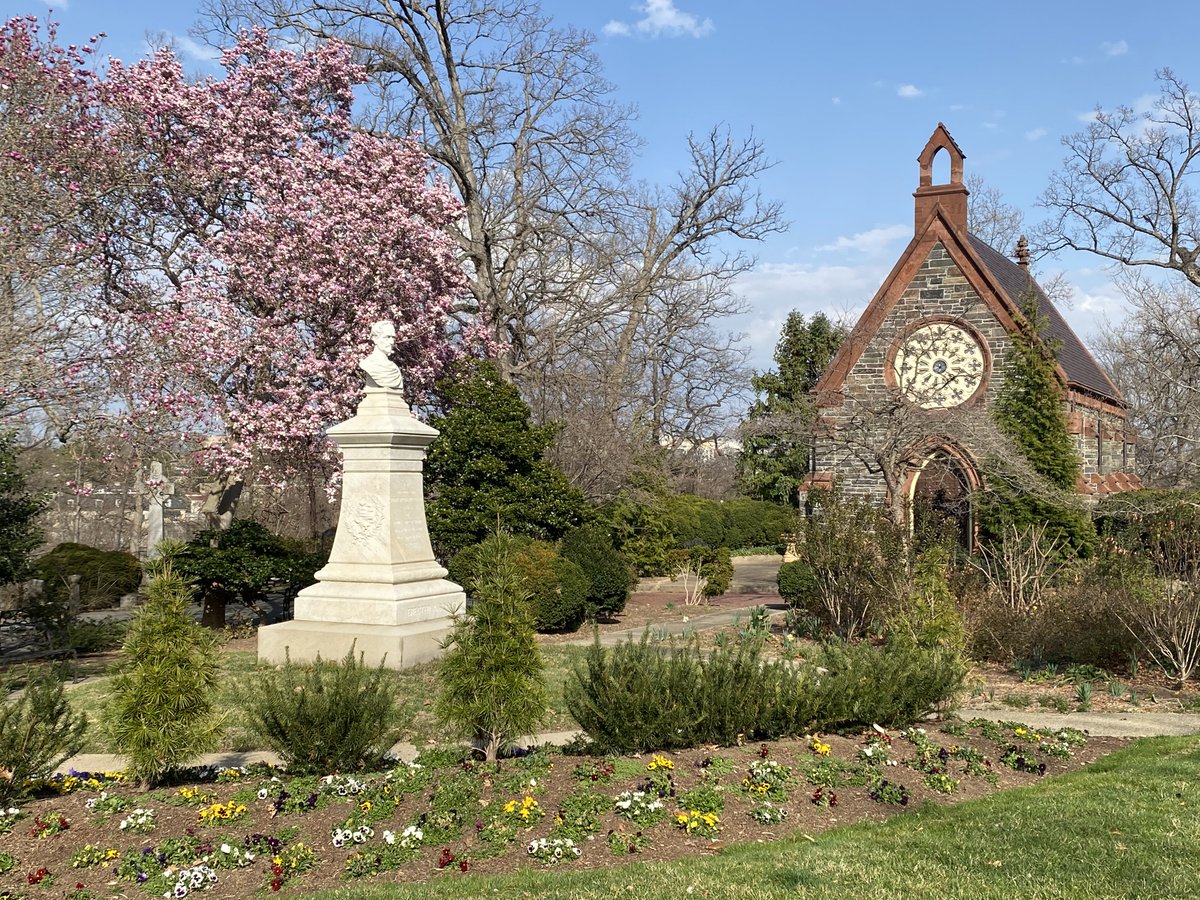 Happy Flower Friday, from Oak Hill Cemetery! Our tulip magnolias are emerging from their buds, showing off their pretty pink petals! 

#OakHillCemeteryDC #FlowerFriday