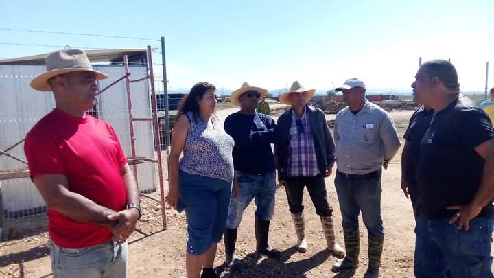ManuelRAlfaro's tweet photo. Visitaron  el Emplazamiento del Parque Fotovoltaico de Las Guásimas, en la Demarcación América en #Contramaestre, las Funcionarias Zulma Pila y Niurka Álvarez, de la Oficina del Presidente de la República. https://t.co/1ZANlyW4N0