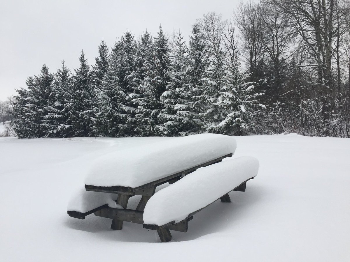 What a winter... loss isn't easy.  Click link to red our latest newsletter.  Visit our website and sing up if you'd like it directly in your inbox. - mailchi.mp/737092a0c6b2/w…