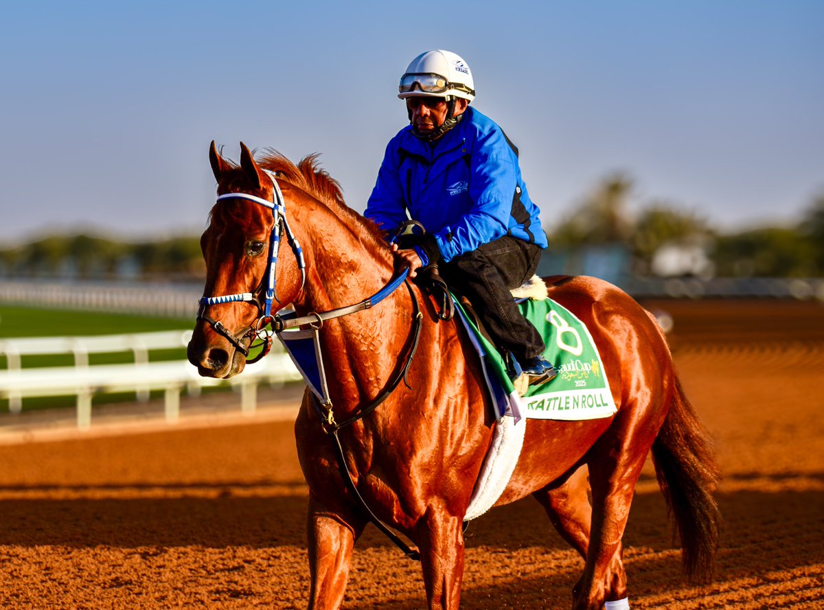 RATTLE N ROLL, multiple ganador clásico de Grado, 5to la última vez en la Saudi Cup 2025, ha sido oficialmente invitado a participar el Sábado 05 de Abril en la Dubai World Cup según confirmó hoy su trainer ⁦<a href="/KennyMcPeek/">Kenny McPeek</a>⁩ 

Photo: Agentes 305