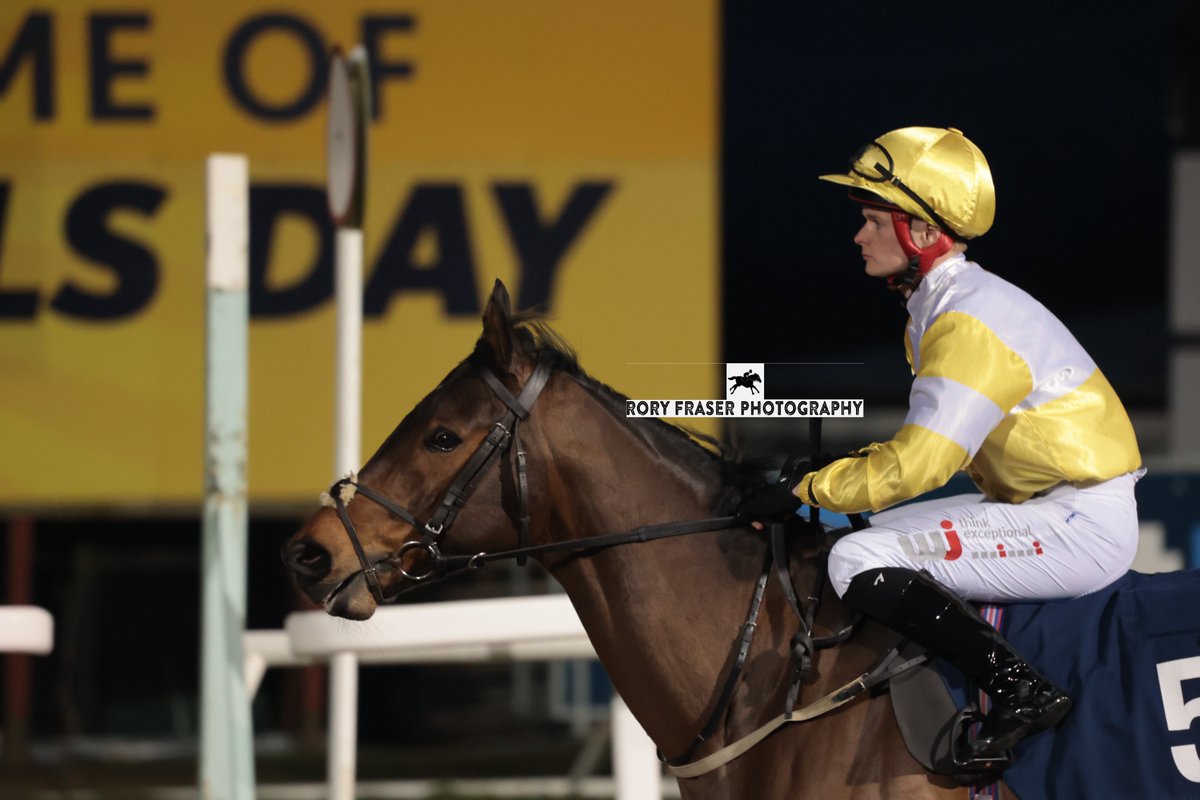 Winner of race five at Newcastle last night, the class two handicap (5f), PADDY'S DAY (Starspangledbanner x Elusive Gold)
Trained by @racingnigel, owned by <a href="/ontoawinner1/">Simon Bridge</a> and ridden by <a href="/alex_jary/">Alex Jary</a> 
Winning for the fourth time in a row in 2025, improving by 10lbs on ratings.