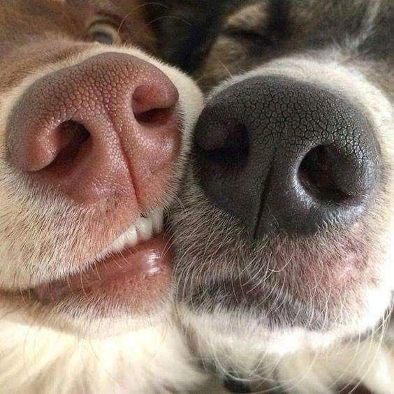 twaniimals's tweet photo. https://t.co/dLMX0jL2AF