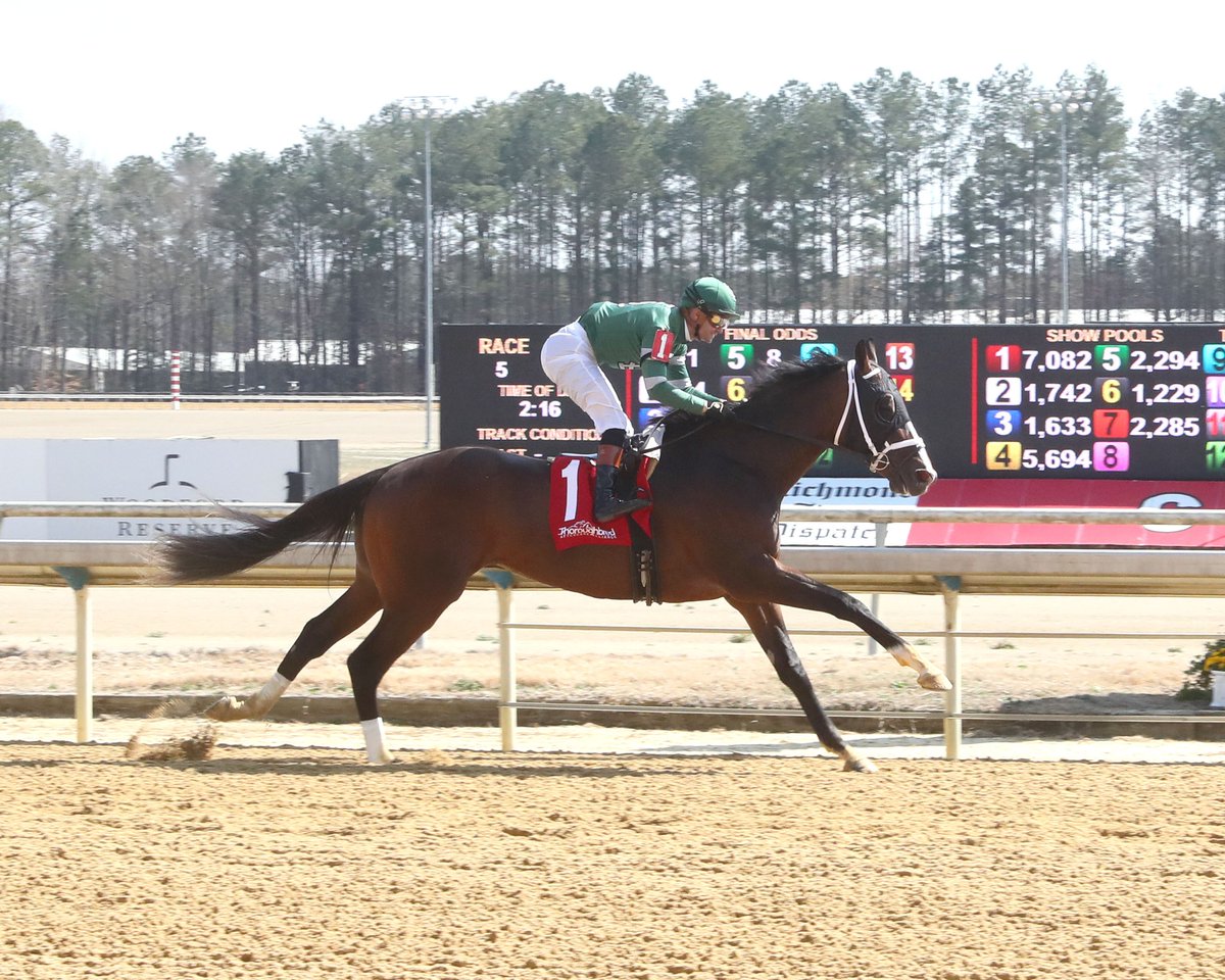 VirginiaHorseRacing (@virginiaracing) on Twitter photo Lots of buzz about the Virginia Derby and Virginia Oaks and the sellout crowd on hand at <a href="/ColonialDowns/">Colonial Downs Racetrack</a> last Saturday, but how cool was it to also see a pair of $1 million purchases make their first lifetime start and win in back-to-back races! The <a href="/bradcoxracing/">Brad H. Cox Racing</a> trainees, Lion Lots of buzz about the Virginia Derby and Virginia Oaks and the sellout crowd on hand at <a href="/ColonialDowns/">Colonial Downs Racetrack</a> last Saturday, but how cool was it to also see a pair of $1 million purchases make their first lifetime start and win in back-to-back races! The <a href="/bradcoxracing/">Brad H. Cox Racing</a> trainees, Lion