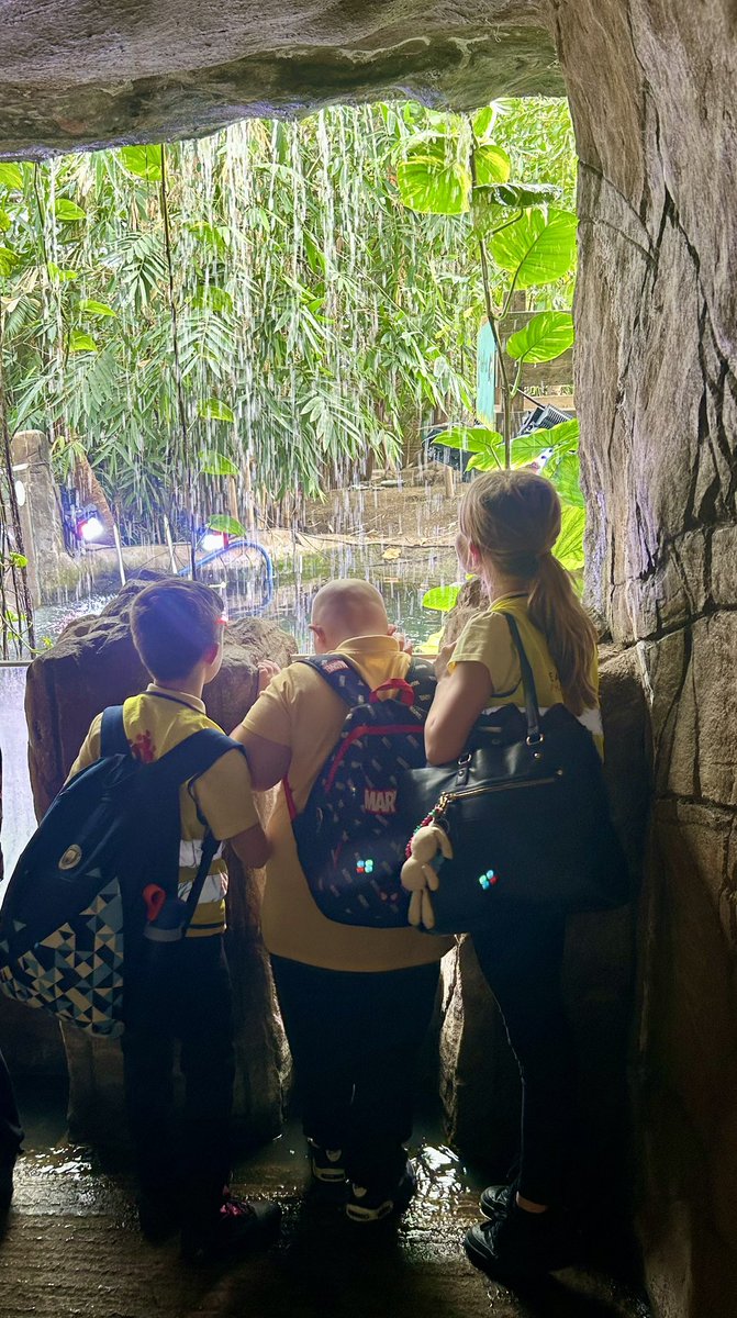 EastfieldPSHull's tweet image. More fun from, Tropical World! #5CO #epsscience #epsgeography @tropicalworld