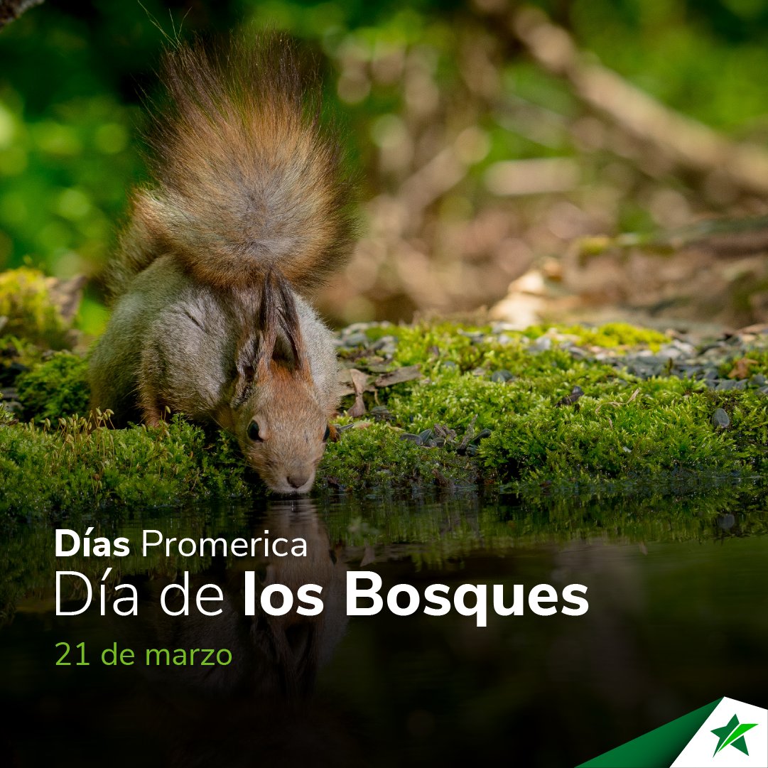 St. Georges Bank tweet media