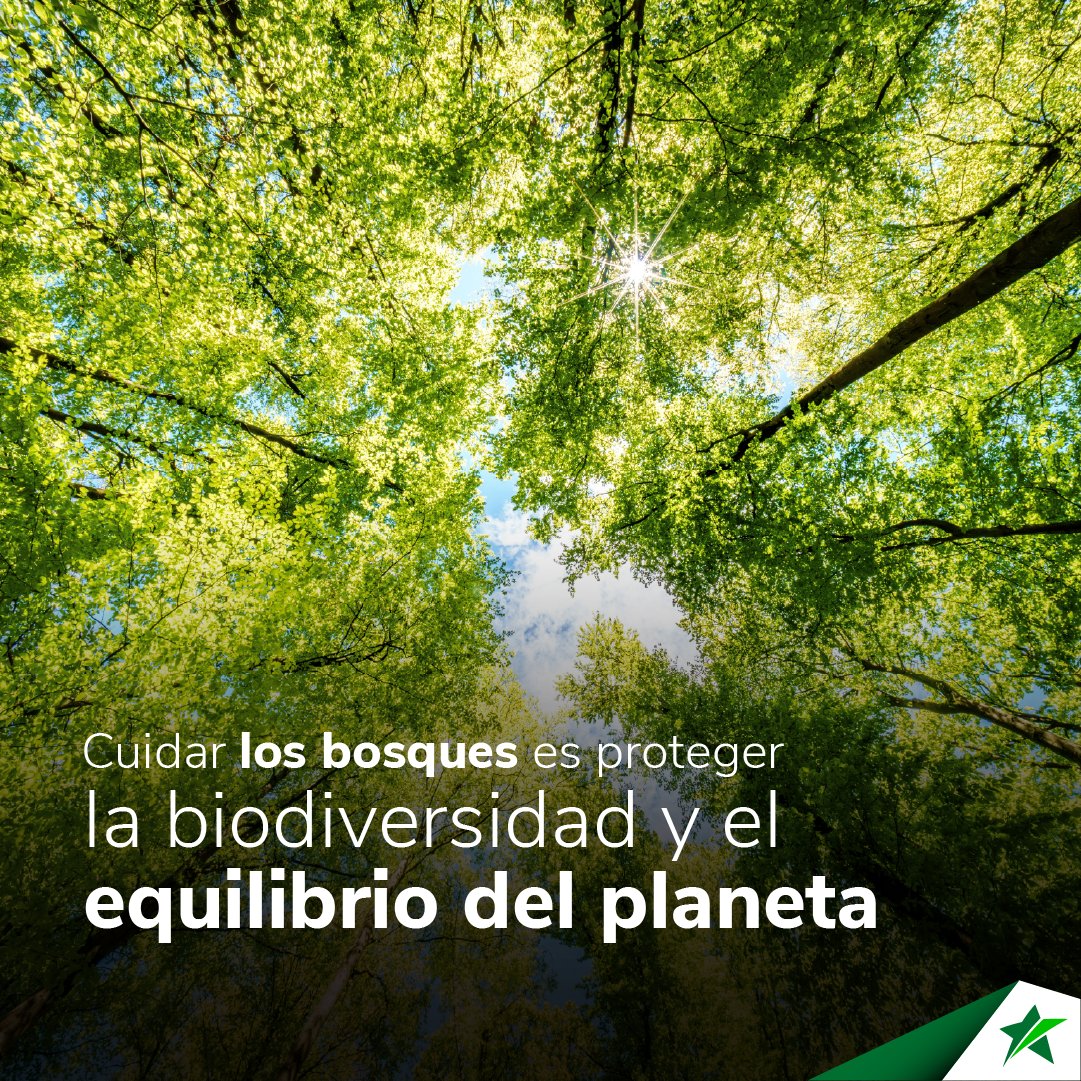 St. Georges Bank tweet media