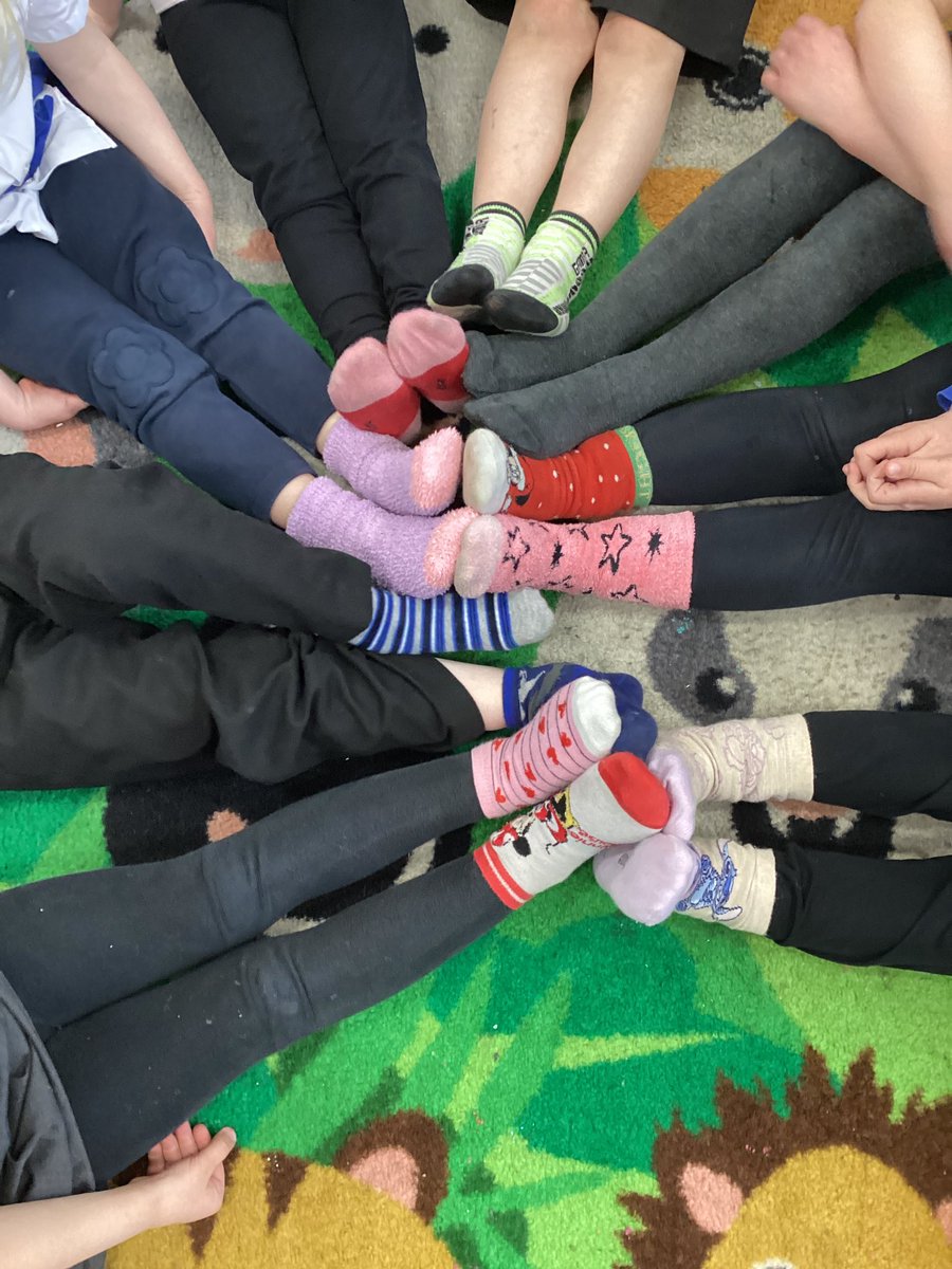 Tang Hall Wrens tweet media