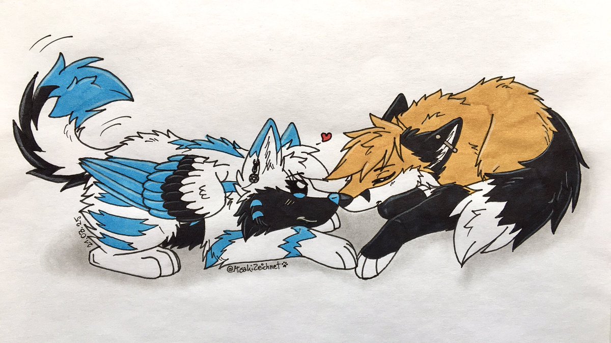 🐾Misaki 🐺 🔜 bsky tweet media