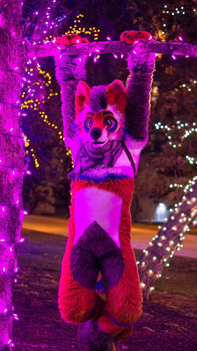 Teeker_Dog's tweet photo. Happy #FursuitFriday 
Will be running around  #FurnalEquinox2025 as this fella, 
Excited to see everyone this afternoon!

📸@yukonbarksalot https://t.co/xaxErrPXdy