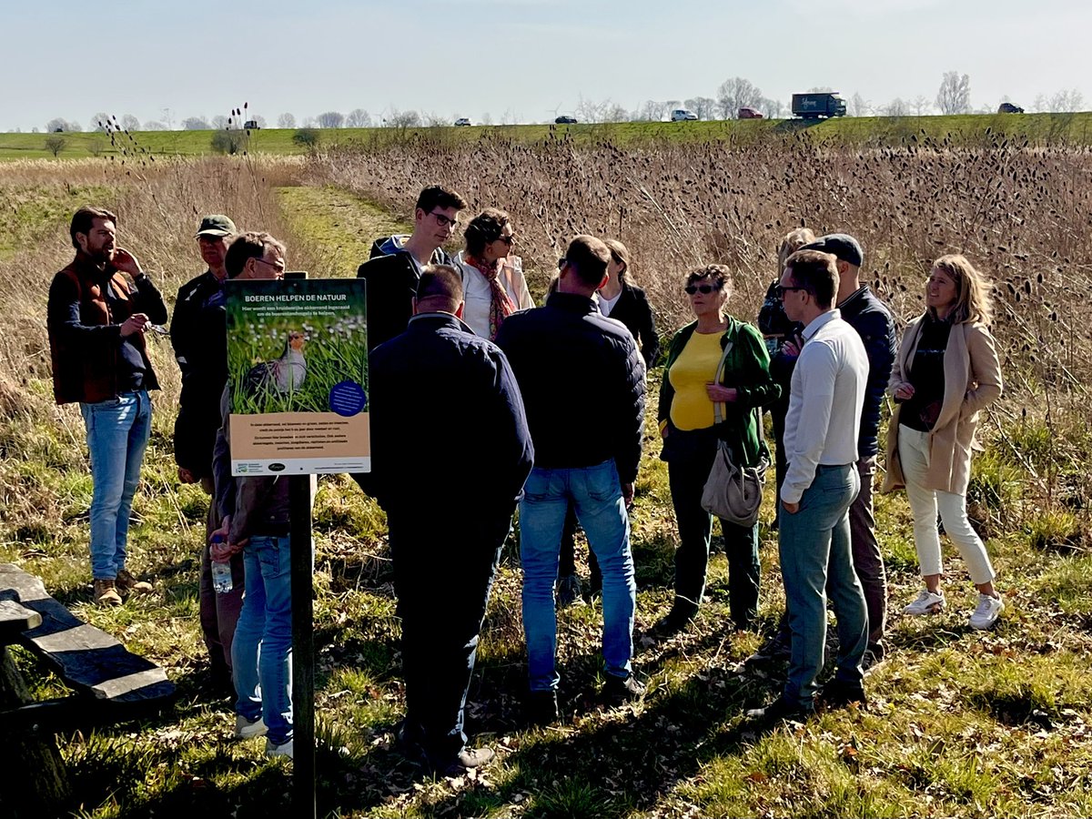 Hermen Vreugdenhil tweet media