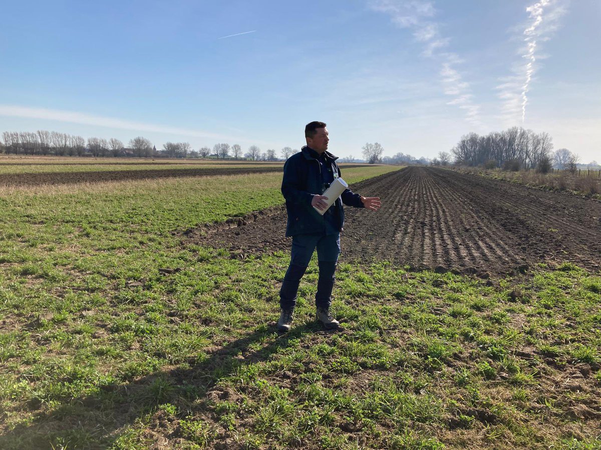 Hermen Vreugdenhil tweet media