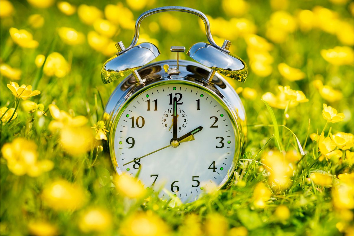 Don’t forget the clocks spring forward this Sunday as we say hello to #BritishSummerTime! 🏖️
It’s also a good time to check your smoke and carbon monoxide alarms which can make a big difference in keeping you safe.
For more information, visit saxonweald.com/safety-in-your…