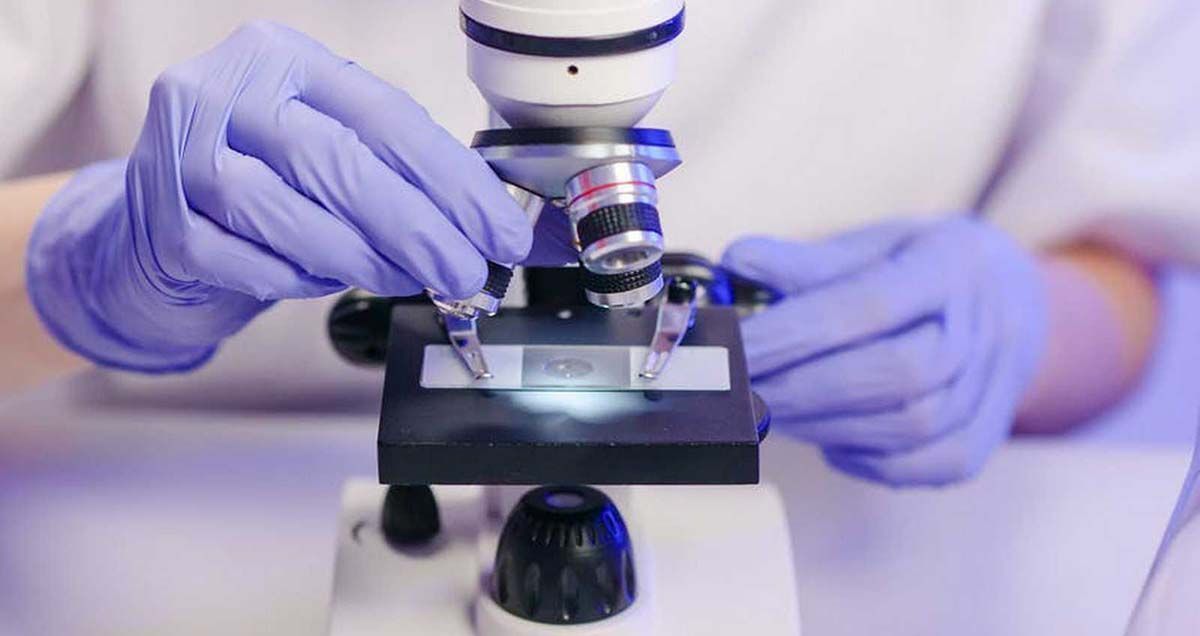 WNuhsbaum's tweet photo. 🔬 Dissecting Microscopes Explained! 🔬

✅ What they are &amp; how they work
✅ Key parts &amp; uses
✅ How to choose the right one
✅ Expert tips for better results

📖 Read more: https://t.co/s6rn7ScbDv

#Microscopy #DissectingMicroscope #LabTech #Nuhsbaum https://t.co/frLpZPHDyX