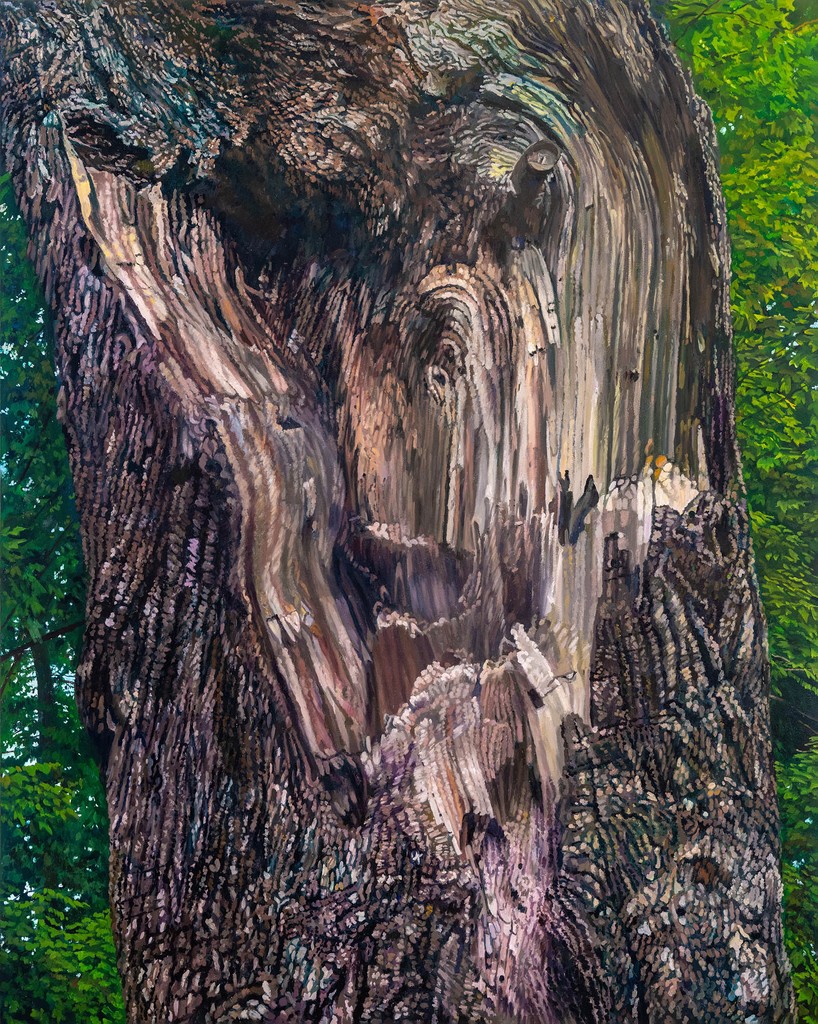 #CatherineMurphy, Recent Work, through 19 April. Still Living, 2024, oil on canvas