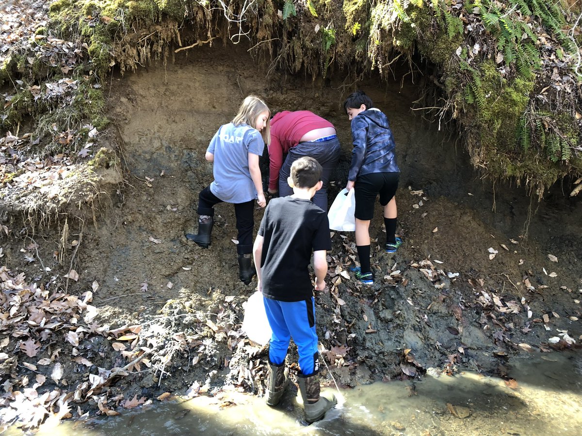 UTMCCSC's tweet photo. Great having MHEC at Coon Creek!!
#canyoudigit #CoonCreek #MeetMcNairy #UT #GrandChallenge #UTM #UTMartin #UTMCCSC #CCSC #CoonCreekScienceCenter #STEM #fieldtrip #fossildig #fossil #education #science #paleontology #geoscience #Tennessee #WestTennessee #homeschool #Memphis https://t.co/ym0eLJV7mX