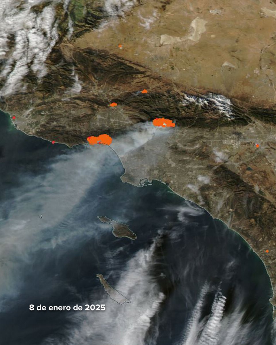 emerprogram's tweet photo. 📰​ NUEVO ARTÍCULO EN NUESTRO BLOG! 

Más allá de las llamas: lecciones de los incendios en California 🔥 https://t.co/byEUVA0AP6
