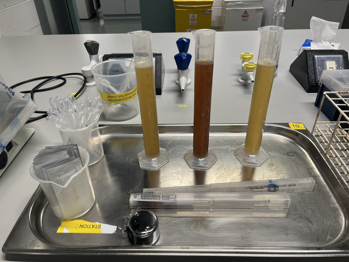 BFreelandDCU's tweet image. The final week of the @DcuBiotech #DCUfutures fermentation festival draws to a close. The primary fermentation is complete with the kegging process finished.  We look forward to the Business pitches next week. @DCUFSH