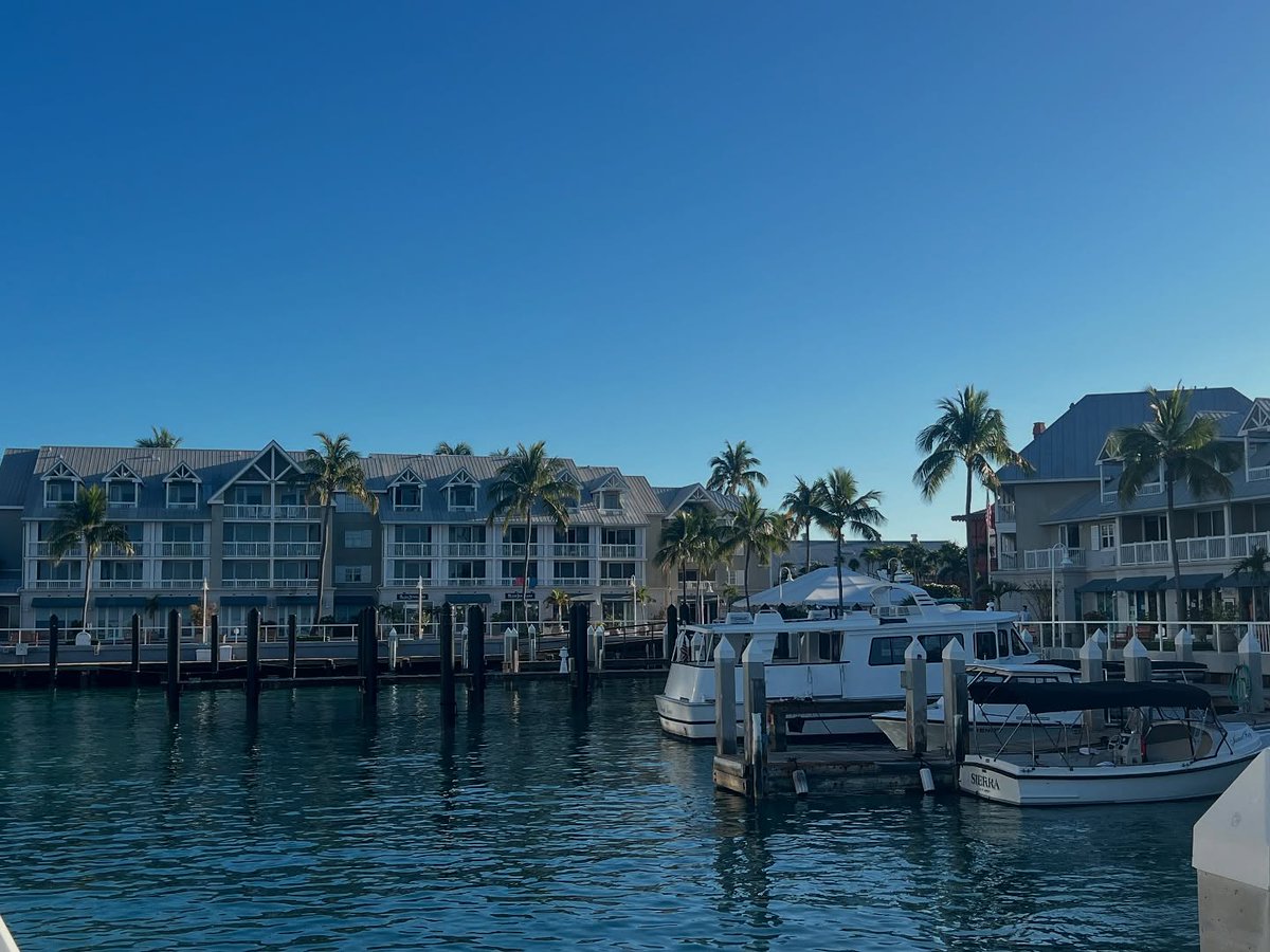 PartyInKeyWest's tweet image. Good morning! It's a beautiful day to live in paradise. #keywest #friday #helloweekend 📷 @k.o.umihana

More: PartyinKeyWest.com/wp/
Follow us: @PartyInKeyWest
Hashtag us: #PartyInKeyWest