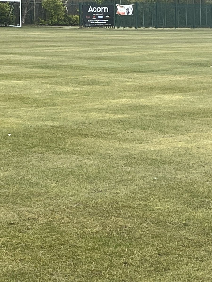 Ground looking the best we have ever seen in March : 🏏🏏 #notlongtogo