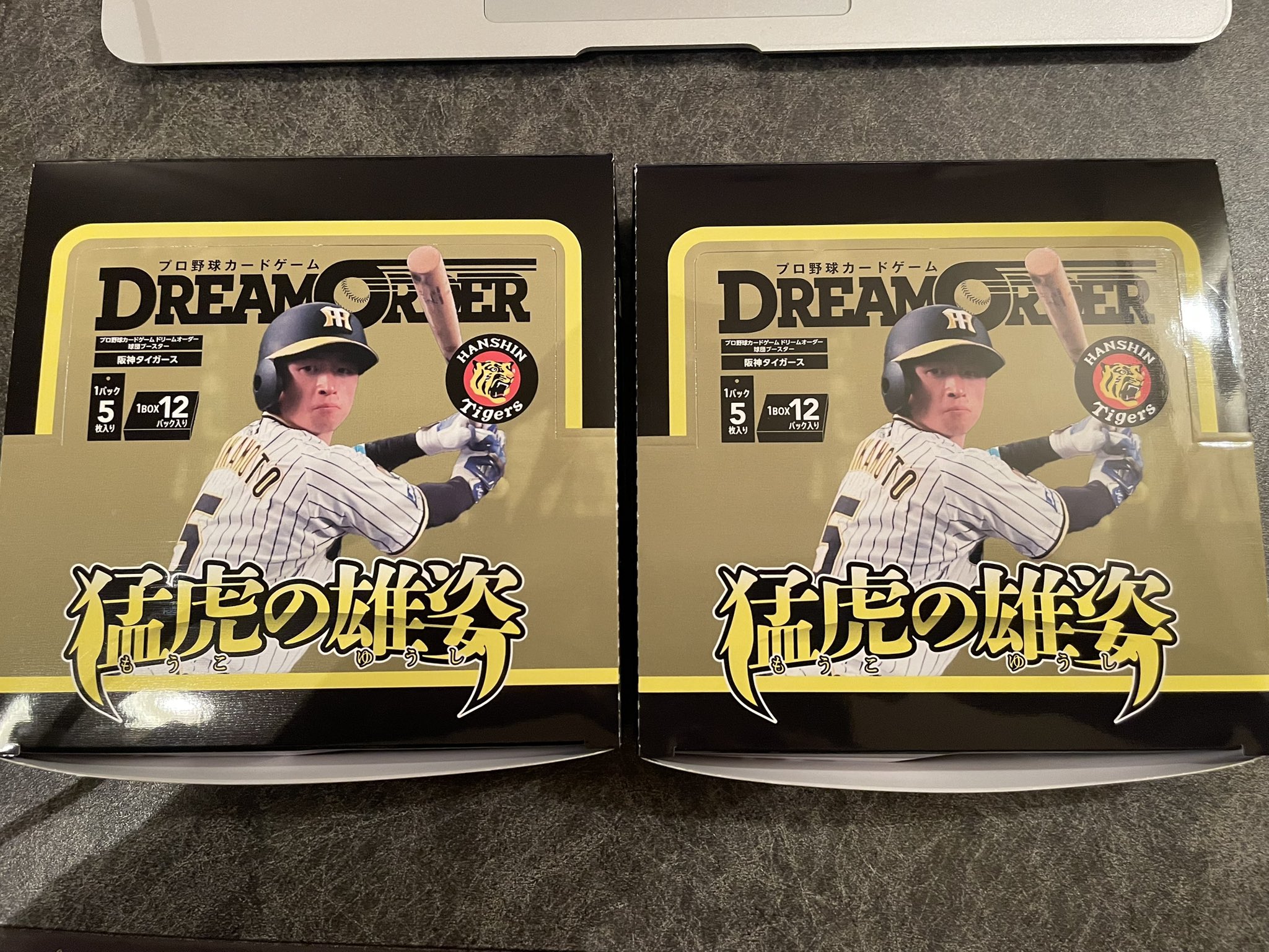 ドリームオーダー 猛虎の雄姿 2BOX 未開封 KM0409-2 球団ブースター 阪神タイガース「猛虎の雄姿」 - PRODUCTS（商品