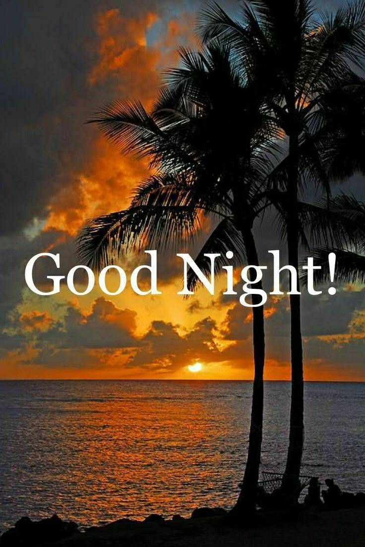 Good Night Friends 😴 🥱 🌃