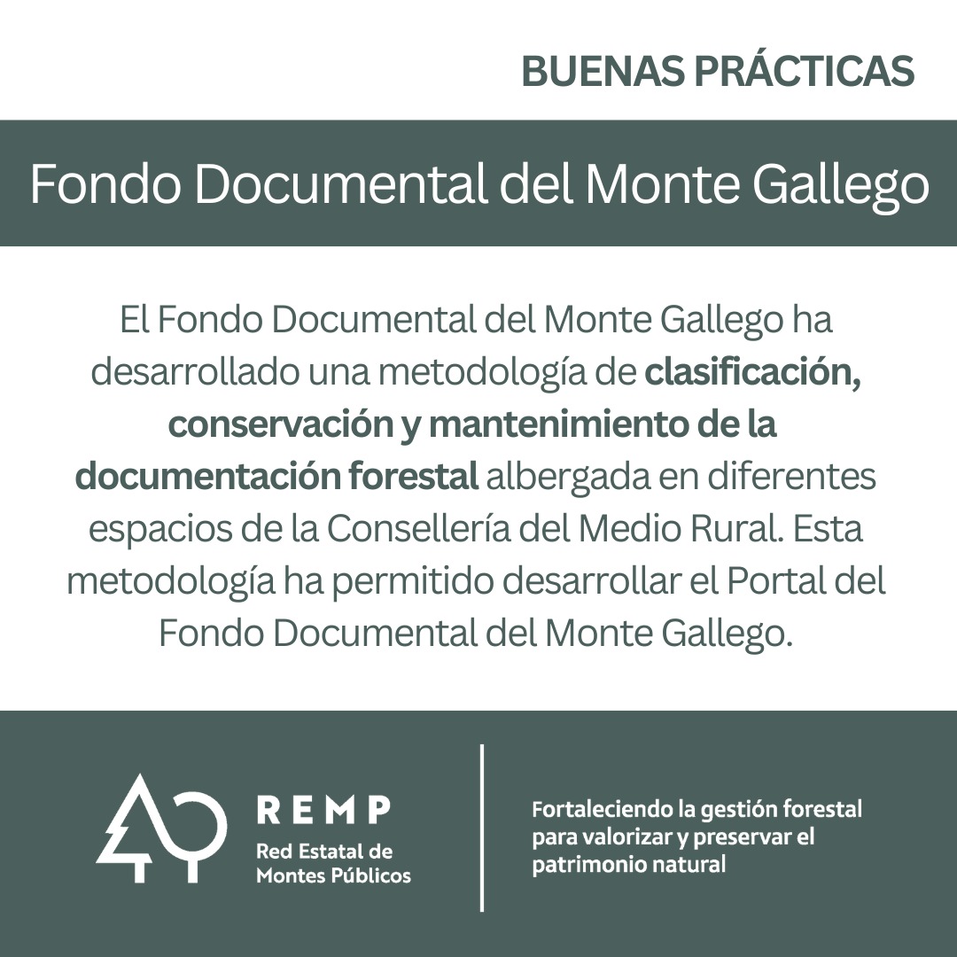 REMP_es's tweet photo. La #BPREMP nos lleva a conocer el Fondo Documental del Monte Gallego, que ha desarrollado una metodología de clasificación, conservación y mantenimiento de la documentación forestal. 

Acceso libre en https://t.co/i2NKxY9LKG

@FBiodiversidad
#ProyectosPRTR 
#PlanDeRecuperación https://t.co/hqvia38zUz