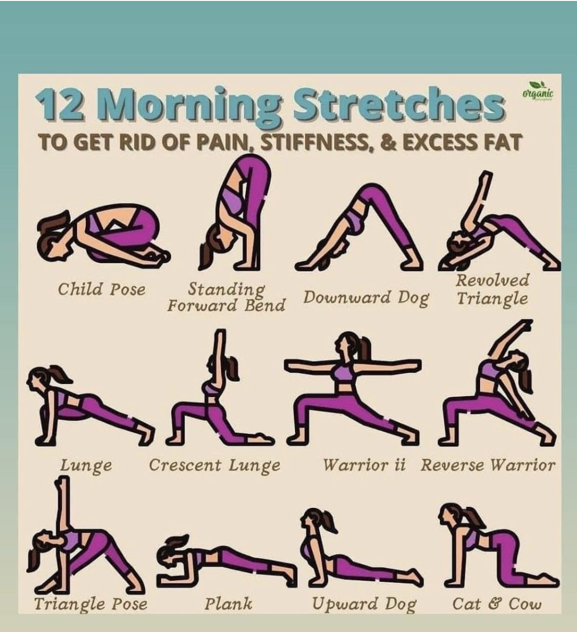 Morning Stretches For Men Elite Trainer Shares His Four Minute Morning