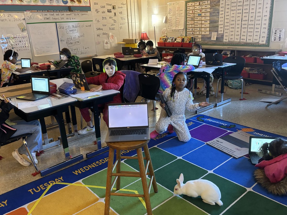 apierson4216's tweet photo. Snowball is chaperoning to ensure our scholars do their best on MAP testing today! ⁦@KlondikeLane⁩ ⁦@MrBoyer134⁩ ⁦@JCPSKY⁩ https://t.co/LkxBFH3DP5