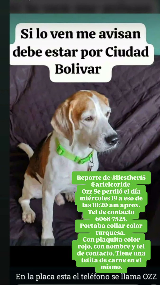 Milagros VS  (@kimesin22) on Twitter photo 