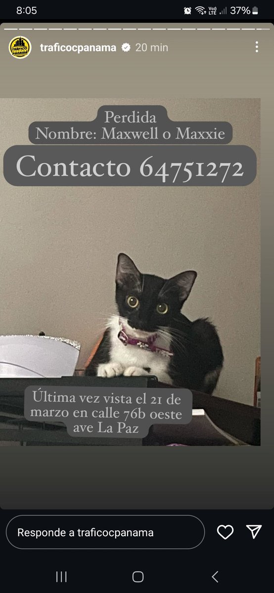 Milagros VS  (@kimesin22) on Twitter photo 