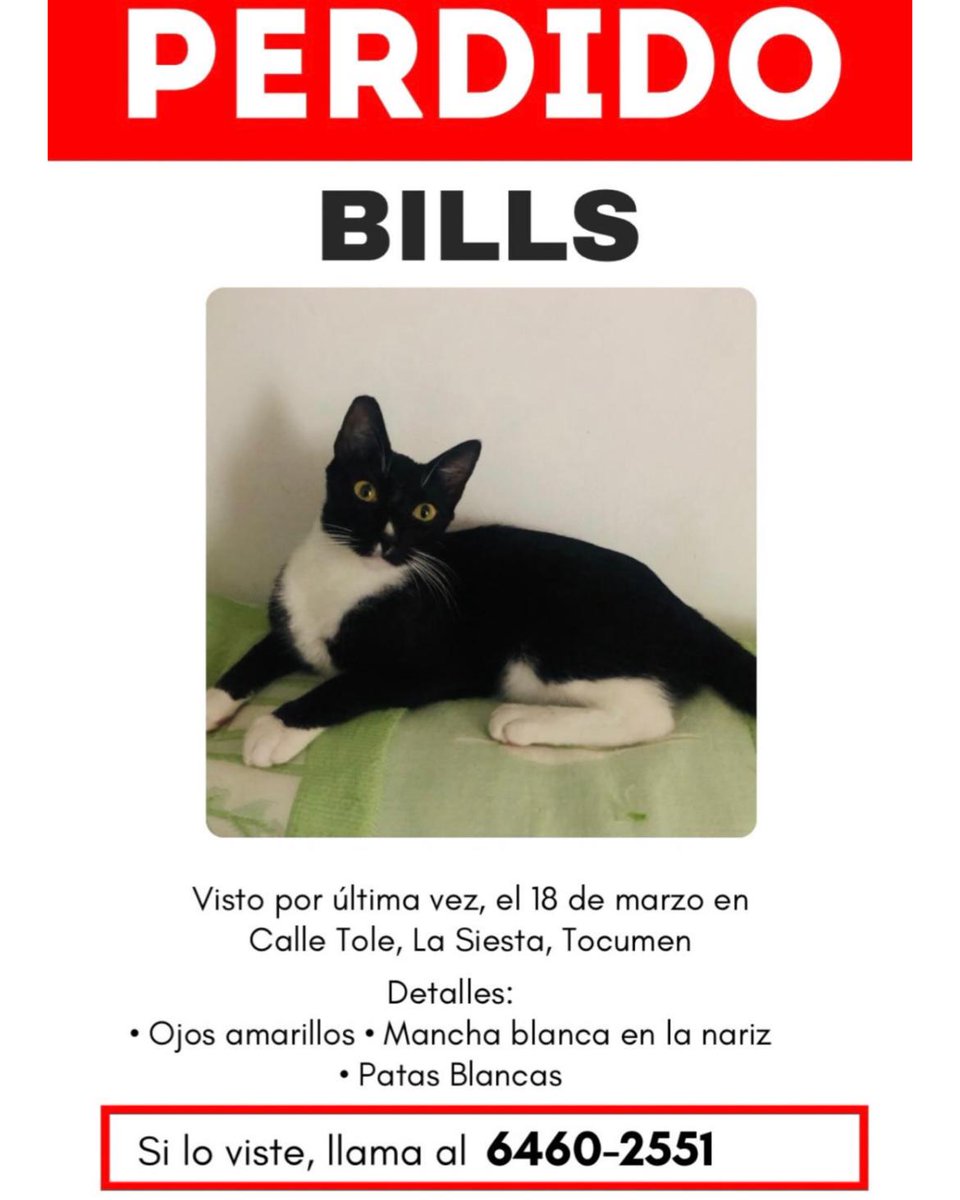 Milagros VS  (@kimesin22) on Twitter photo 