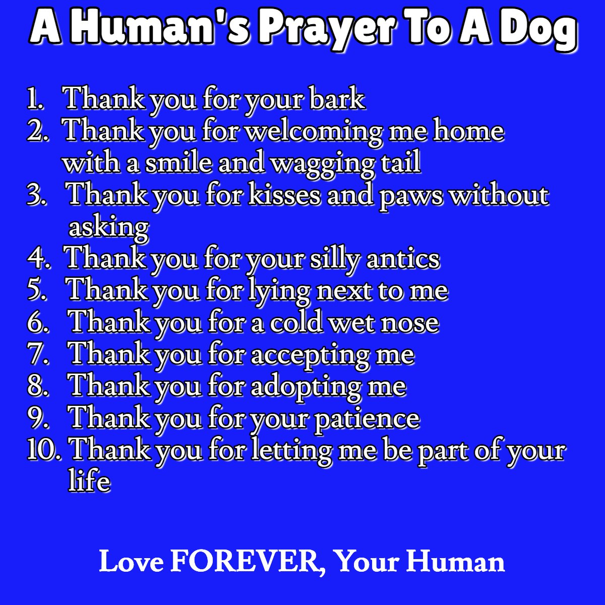 Dog Lovers (@doglovers03) on Twitter photo 