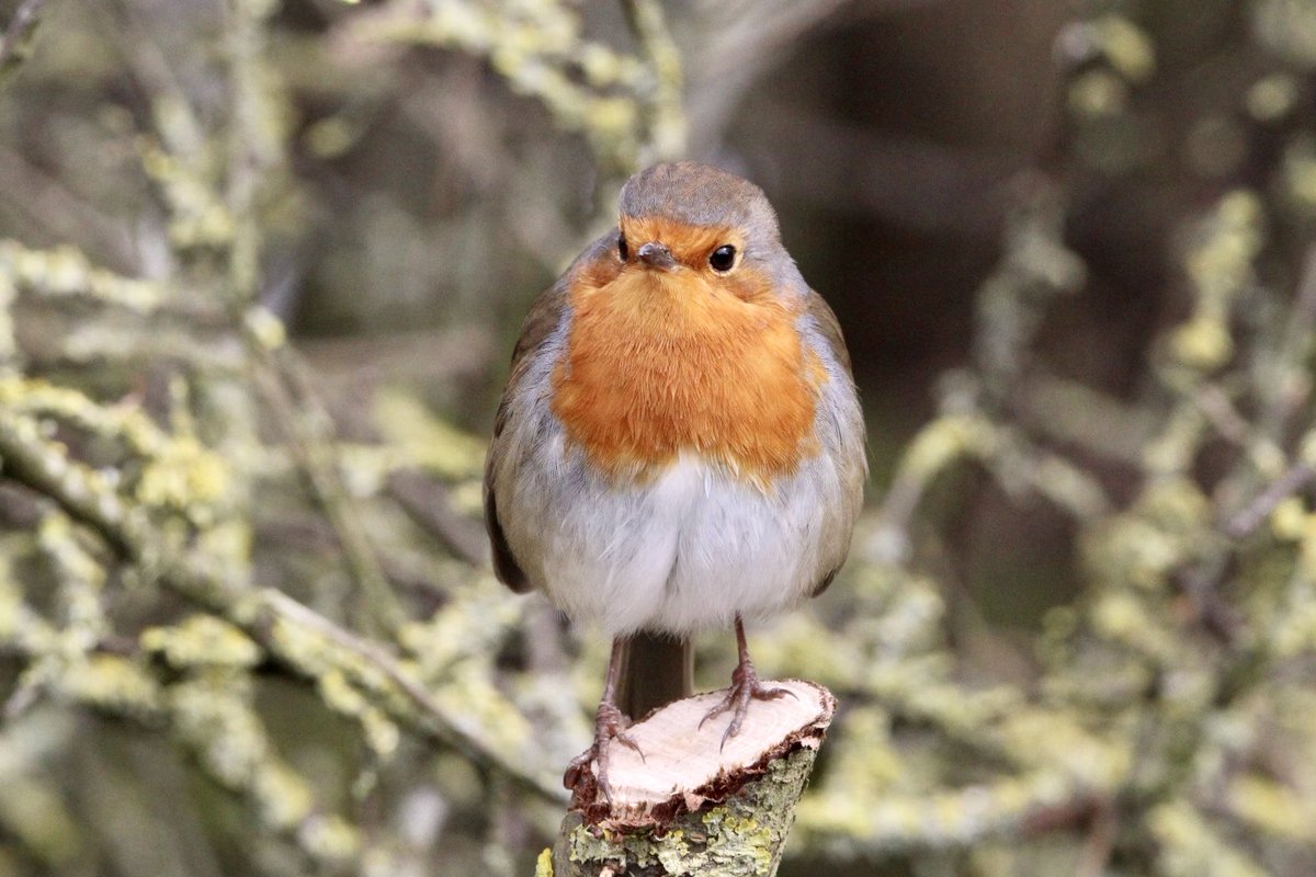 Jo Woolley tweet media