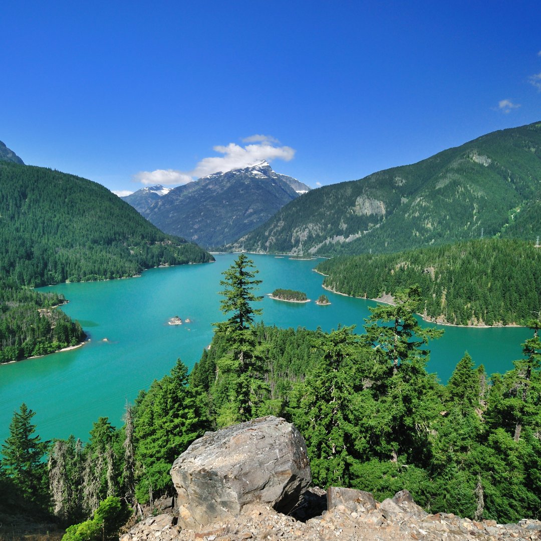 Today is International Day of Forests — a day to celebrate the beauty of our wildlands. Let’s be good visitors, leave no trace and keep fires in check. #OnlyYou

Learn more at SmokeyBear.com