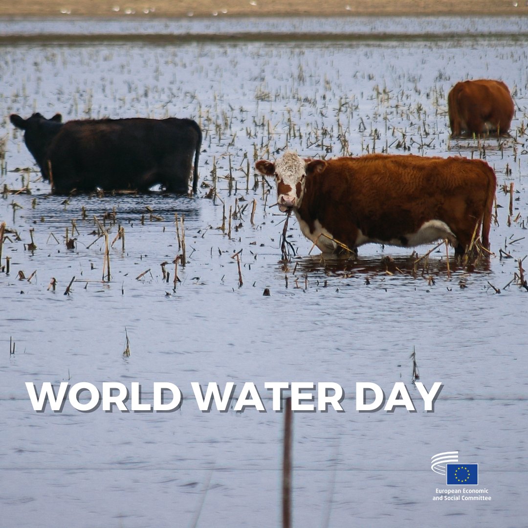 🌍💧World Water Day is tomorrow!

#ClimateChange implies increased extreme weather events—droughts, floods—damaging crops &amp; livestock production.

In the context of #EUBlueDeal, a strategic plan is needed to ensure safe water for agriculture in the EU.

👉europa.eu/!3G37tm