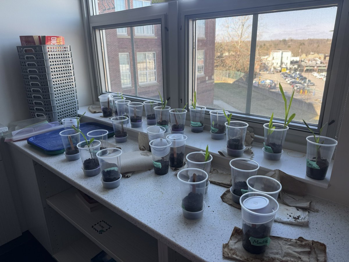 Mrs. Waite tweet media