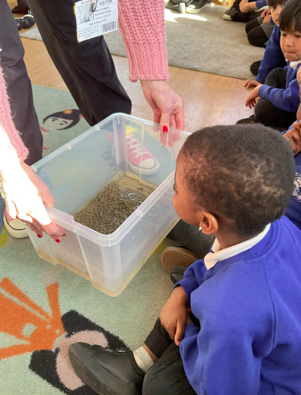 allsaintssbd5's tweet photo. Mrs Milner has brought us some frog spawn in Nursery this week. Our nursery children are excited to see how it develops into frogs during Spring/Summer! #AllSaintsProud #PracticalScience #LifeCycles #RealLifeScience #EYFSLearning https://t.co/3HOtOietNO