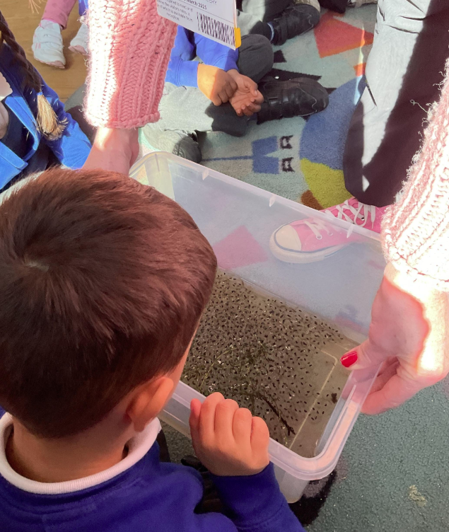 allsaintssbd5's tweet photo. Mrs Milner has brought us some frog spawn in Nursery this week. Our nursery children are excited to see how it develops into frogs during Spring/Summer! #AllSaintsProud #PracticalScience #LifeCycles #RealLifeScience #EYFSLearning https://t.co/3HOtOietNO