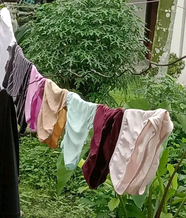 palm beach (@arorasalini) on Twitter photo 