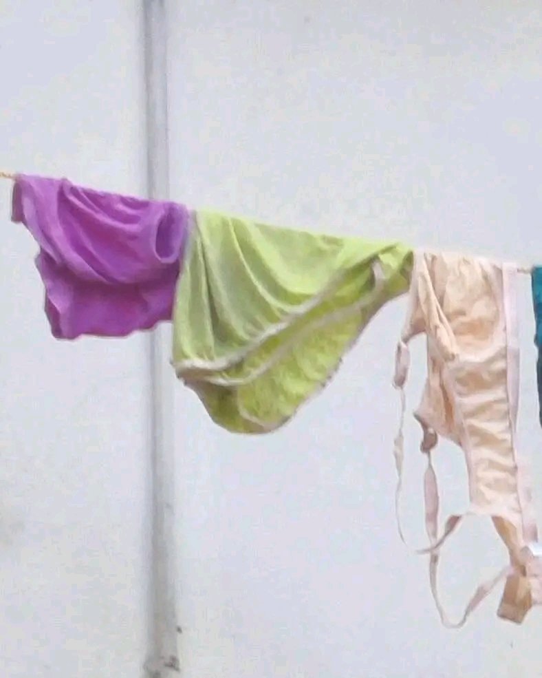 palm beach (@arorasalini) on Twitter photo 