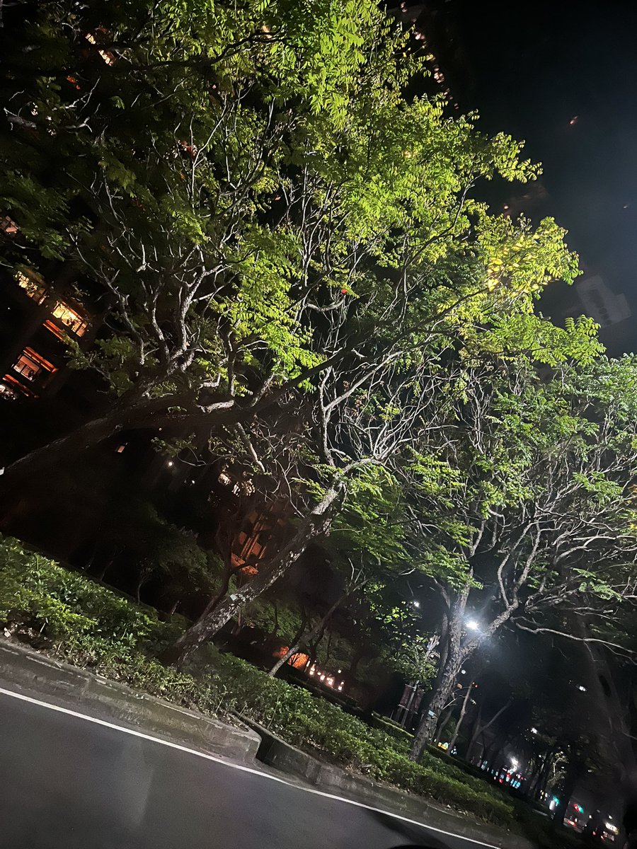 跑來台中被放鳥😮‍💨