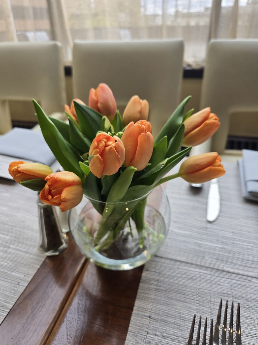 It's National Flower Day!

Flowers are a great way to enhance any event, check out some centerpieces created by our Team 🌷 🌼 

#nationalflowerday #Hiltonalbany #downtownalbany #downtownbid #spring #HiltonForTheStay