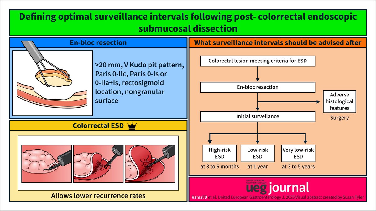 👑What's optimal surveillance interval after #colorectal #ESD❓️
 1️⃣year? 3️⃣years? 5️⃣years?

💥Thanks <a href="/MMEstevinho/">Maria Manuela Estevinho</a> for creating this beautiful Visual Abstract 🙏🫶🙃

📕Only in <a href="/UEGJournal/">UEGJ</a>
👉tinyurl.com/4d76dffb

🟢<a href="/my_ueg/">my_UEG</a> 
🔴<a href="/UEGJournal/">UEGJ</a>
     &amp;💥<a href="/SN_gastro/">Sara Nikolić</a>💥🔝❗️
⚪️<a href="/OncoAlert/">OncoAlert</a>