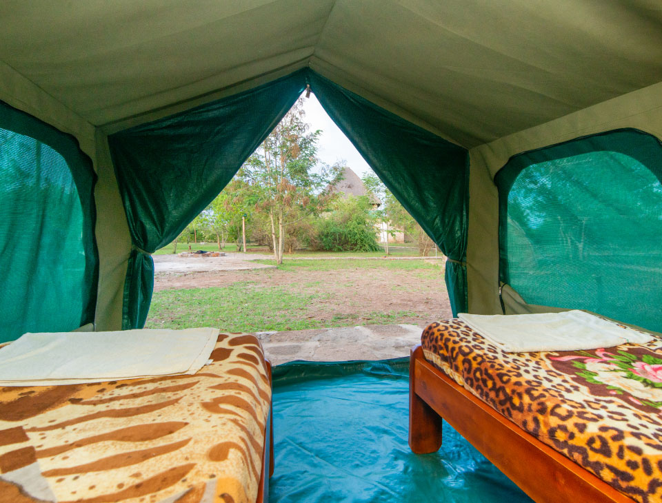 EngiriLodge's tweet photo. Affordable lazy camping in Queen Elizabeth National Park Uganda. Experience true wilderness on your Africa safari

#traveler #travel #Campsite #adventure #explore #ExploreUganda #safarilodge #safari #lodge #accommodation #africa #Uganda https://t.co/OoQ1zdT5PM