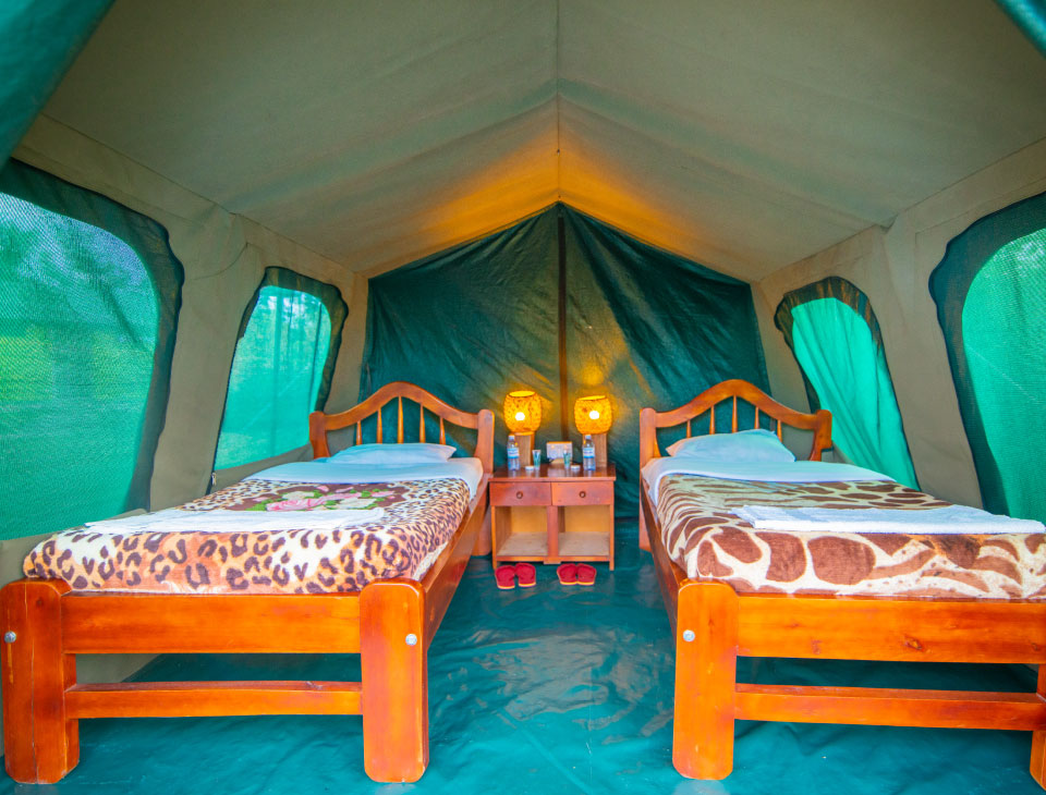 EngiriLodge's tweet photo. Affordable lazy camping in Queen Elizabeth National Park Uganda. Experience true wilderness on your Africa safari

#traveler #travel #Campsite #adventure #explore #ExploreUganda #safarilodge #safari #lodge #accommodation #africa #Uganda https://t.co/OoQ1zdT5PM