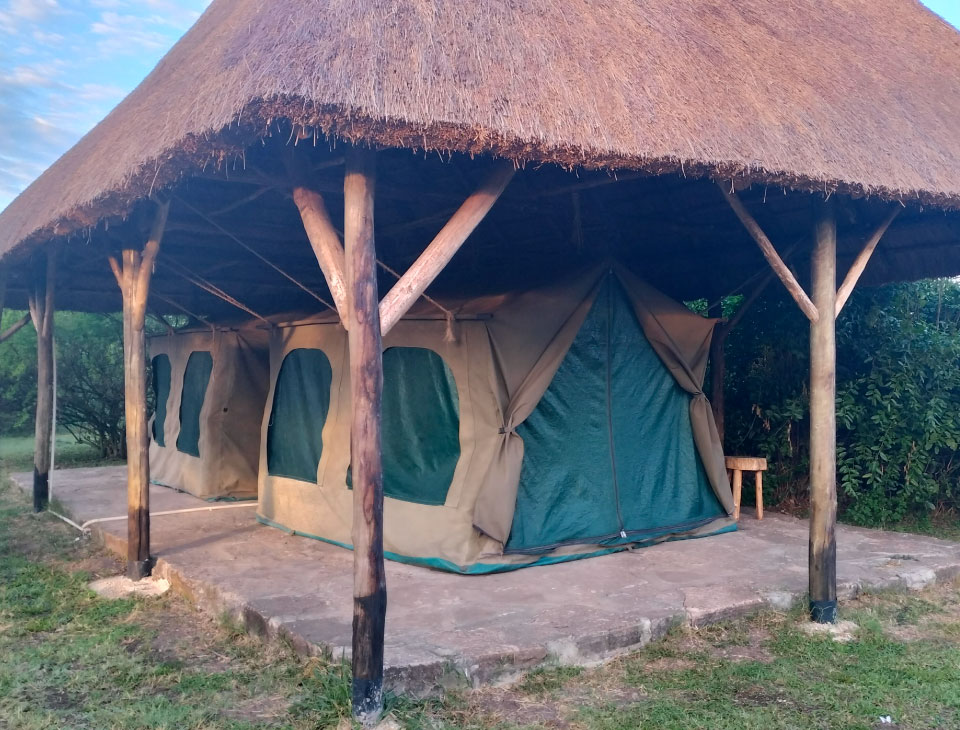 EngiriLodge's tweet photo. Affordable lazy camping in Queen Elizabeth National Park Uganda. Experience true wilderness on your Africa safari

#traveler #travel #Campsite #adventure #explore #ExploreUganda #safarilodge #safari #lodge #accommodation #africa #Uganda https://t.co/OoQ1zdT5PM