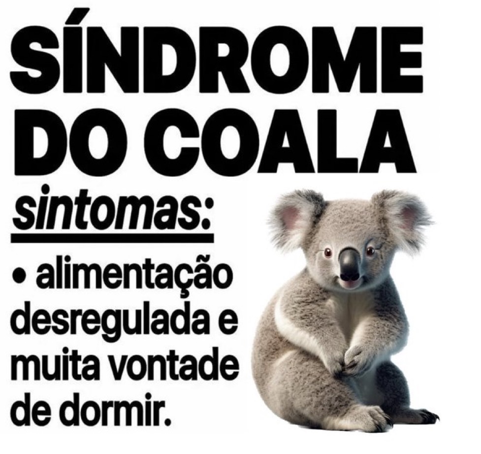 safadenha ✪ (@ousafadenha) on Twitter photo 