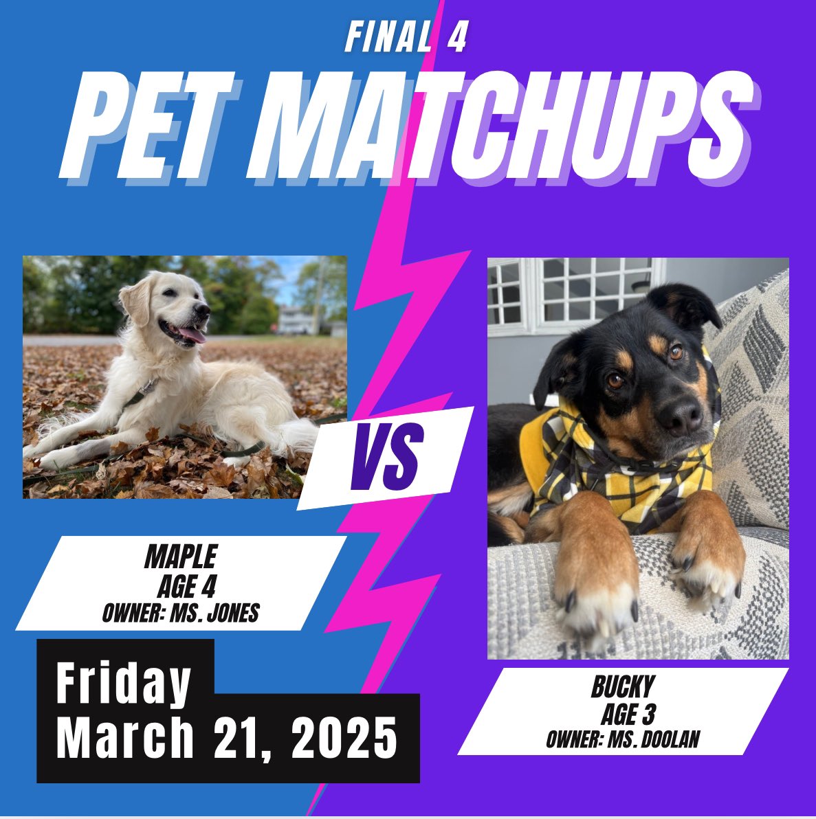 JLHS SAVE Promise Club tweet media